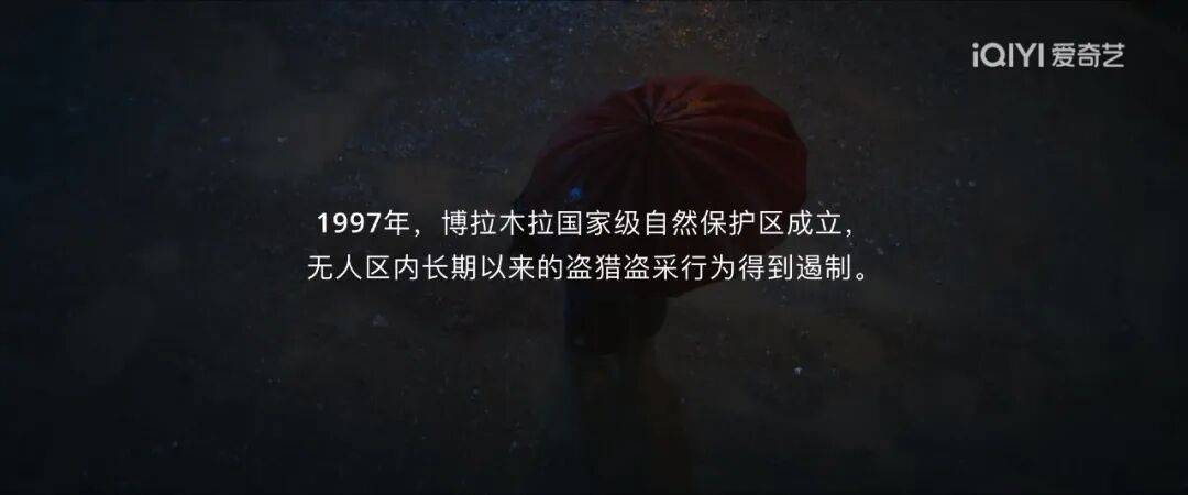 生命树》现实主义大剧引领开年长招商冰球突破爆百万大奖40+品牌入局《(图3)